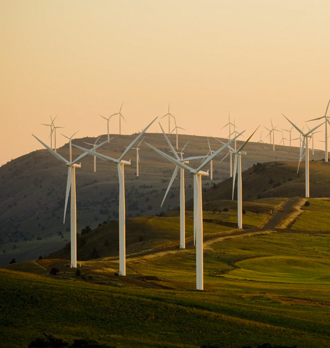 Parque eólico generando energía sustentable.